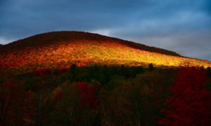 Mountain-Treasure-Windham