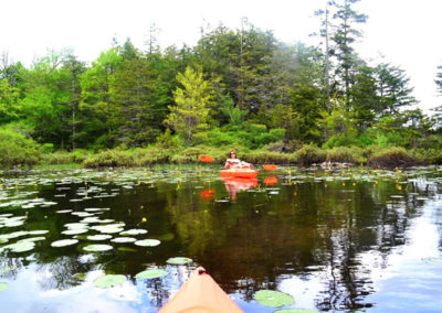 Kayaking at North-South Lake